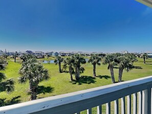 Property grounds - Buckin Beach House | Spacious + Community Pool (Galveston)
