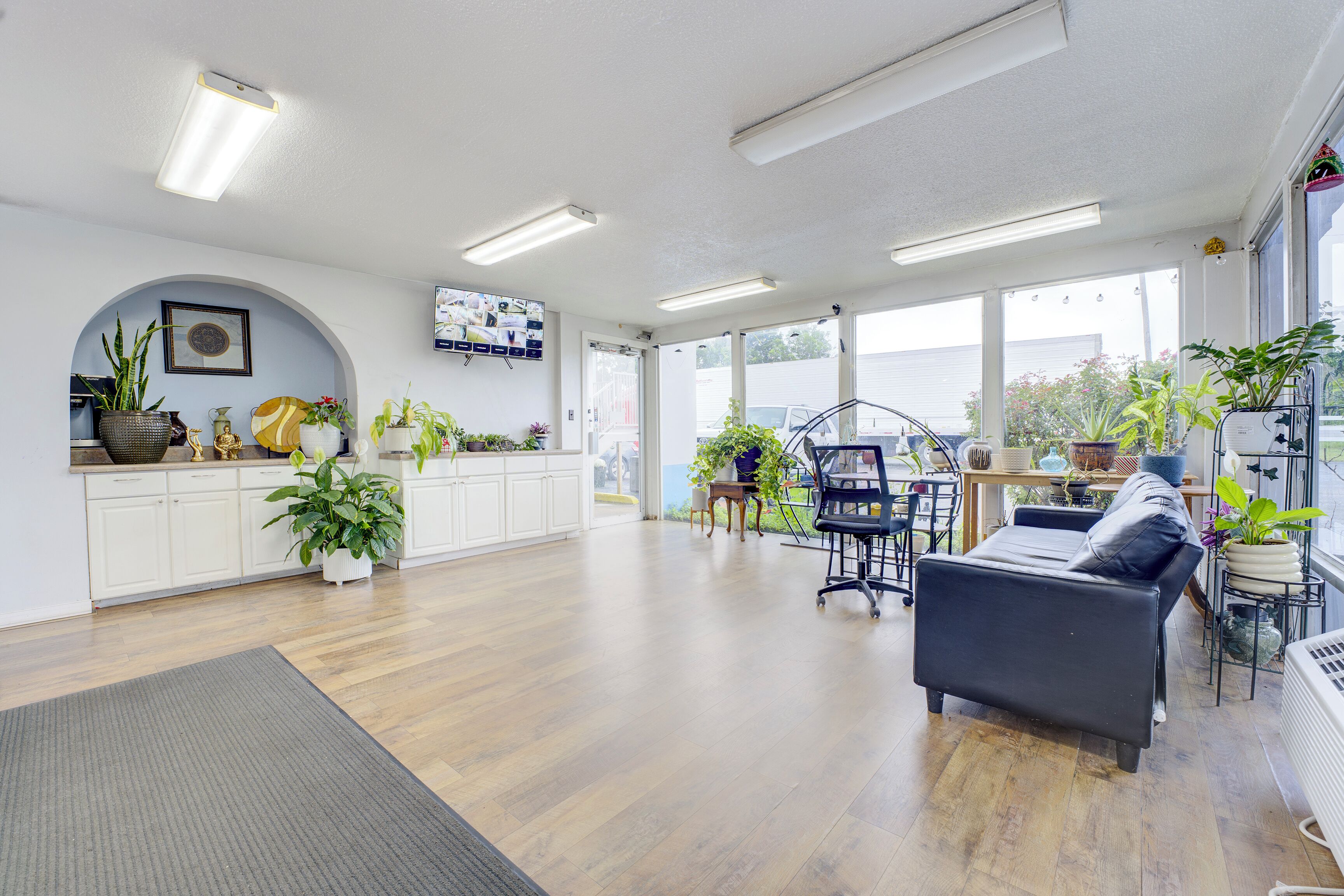A spacious room with a wooden floor, a sofa, a desk, and various potted plants.