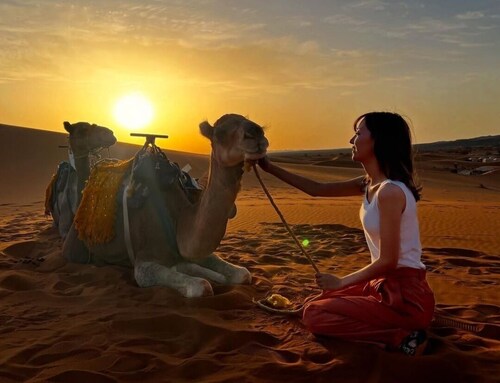 Luxury Desert Camp Merzouga - AC, Private Bathroom & Breakfast
