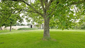 A tree in a grassy area with a building in the background. - Bed and Breakfast 'Chambre Chausey' with Shared Terrace, Shared Garden and Wi-Fi (Muneville-sur-Mer)