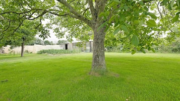 Overnatningsstedets område