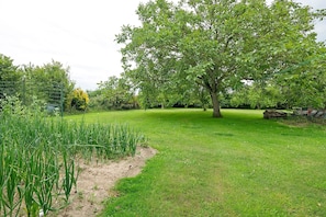 A grassy area with a tree, a fence, and some plants.
