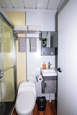 Sèche-cheveux, serviettes fournies, savon, papier toilette