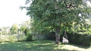 A grassy outdoor area with a hammock hanging from a tree.