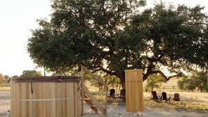 A wooden structure with a ladder, a bench, and a tree in the background. - Glamping getaway Yurt with A/C in Johnson city (Johnson City)