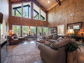 TV, fireplace, books