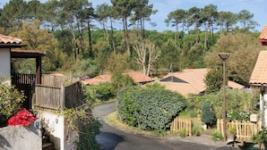 Zona residencial con casas, una calle pavimentada y un paisaje boscoso de fondo.