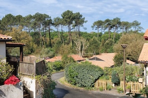 Zona residencial con casas, una calle pavimentada y un paisaje boscoso de fondo.