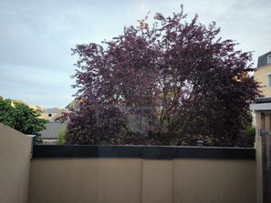 Property grounds - La Mancelle Heureuse (Le Mans)