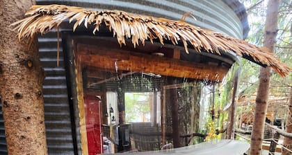 Bin There Treehouse - A Grain Bin treehouse!