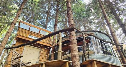 Bin There Treehouse - A Grain Bin treehouse!