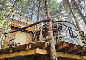 Uma casa na árvore com plataformas de madeira e estrutura metálica, rodeada por árvores altas.