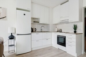 Private kitchen - Arctic studio haven By Lapland Host (Rovaniemi)