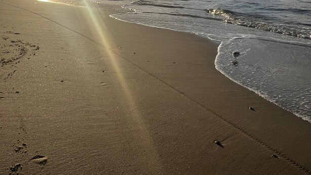 Una playa con el sol reflejado en el agua, cielo despejado e huellas en la arena.