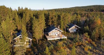 Bright Nordic chalet with high-quality furnishings in a Scandinavian design
