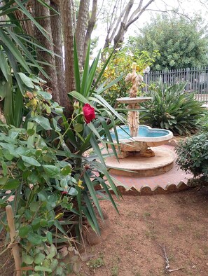 Ein Garten mit einem Brunnen, Bäumen und einer roten Blume.