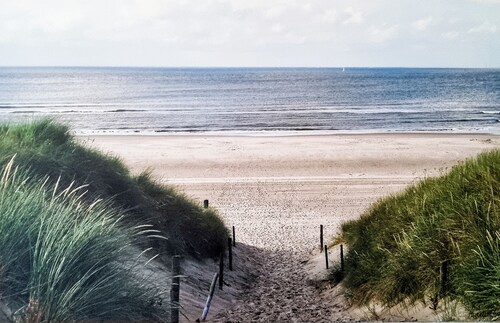 Cozy summer cottage 200 meters from the beach!