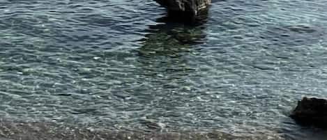 海灘