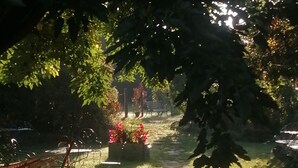 Un camino de piedra que atraviesa un jardín con plantas en macetas y una valla de metal.