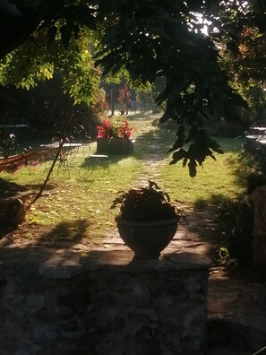 Ein Steinweg führt durch einen Garten mit Kübelpflanzen und einem Metallzaun.