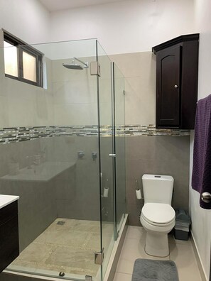 Regadera, secadora de cabello, toallas, papel de baño 