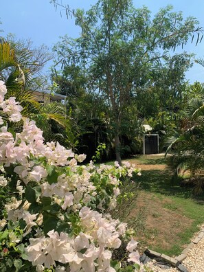 Exterior detail - Live the Pura Vida Life! Modern 3 bedroom home close to downtown and beach (Guanacaste)