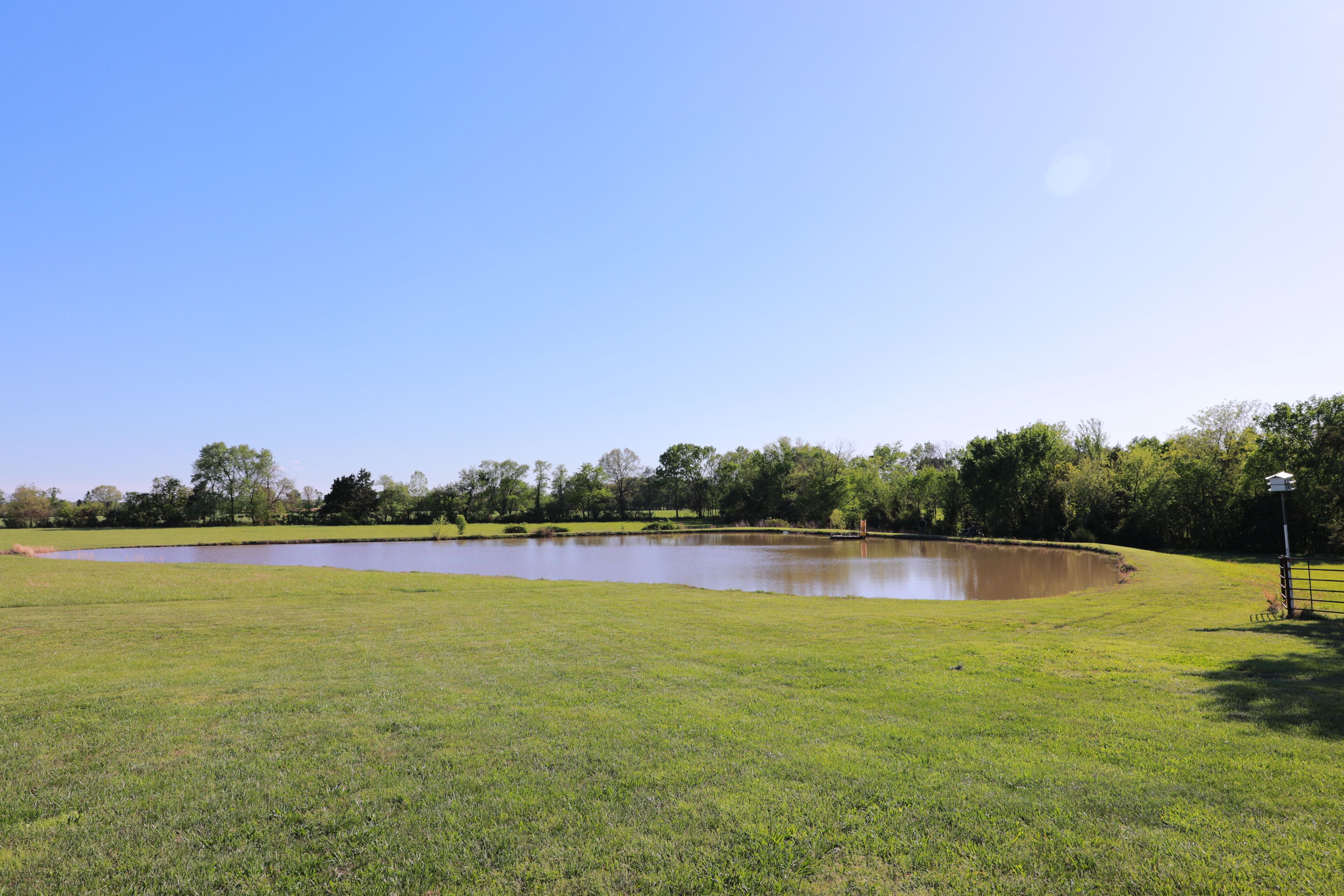 A grassy field with a pond and trees in the background.