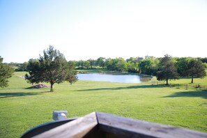 A grassy field with a pond, trees, and a wooden fence.