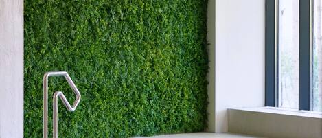 A modern indoor pool with a green wall and a clear glass barrier.