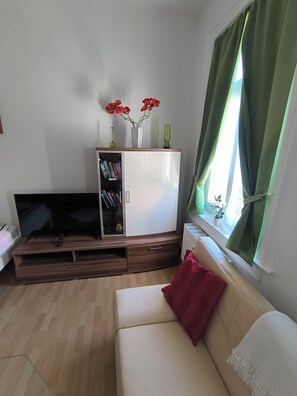 Fernseher, Bücher