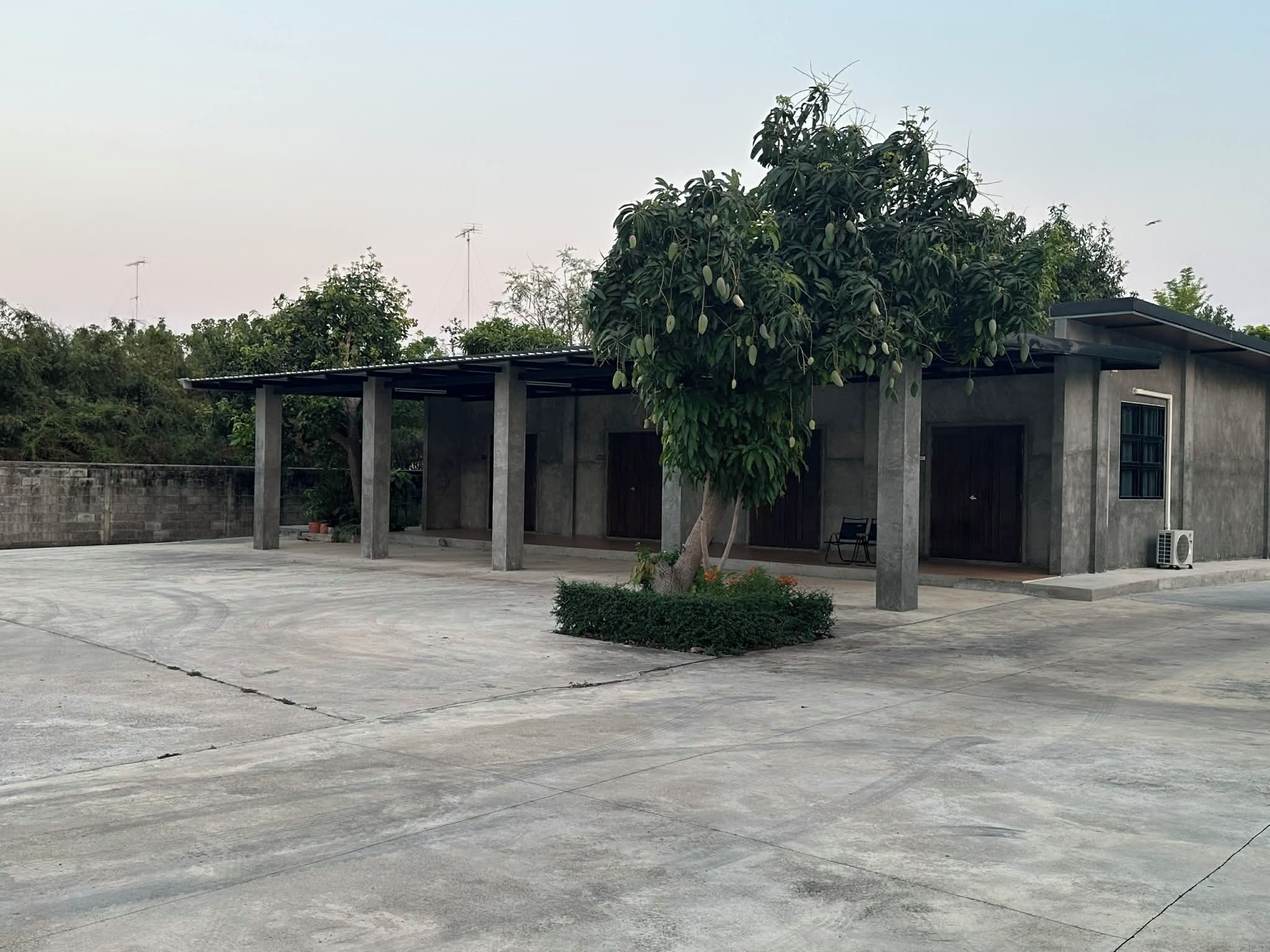 Un edificio moderno con fachada de hormigón, un espacio de estar al aire libre cubierto y un árbol en primer plano.