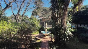 Un sentier menant à une fontaine, entourée de palmiers et d’autres plantes vertes.