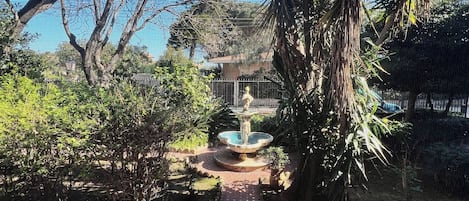 A pathway leading to a fountain, surrounded by palm trees and other greenery.