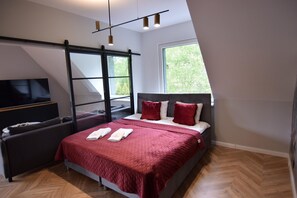 A bedroom with a bed, a TV, a sofa, a window, and a ceiling light fixture.