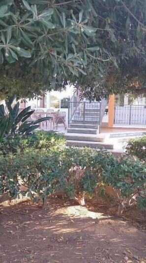 A garden area with a paved pathway leading to a building entrance, surrounded by dense foliage and a small tree. - Lulu House - Mandarins (Carini)