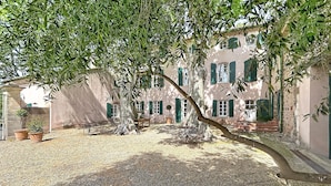Un patio con una mesa y sillas, rodeado por un edificio con contraventanas verdes y un árbol grande.