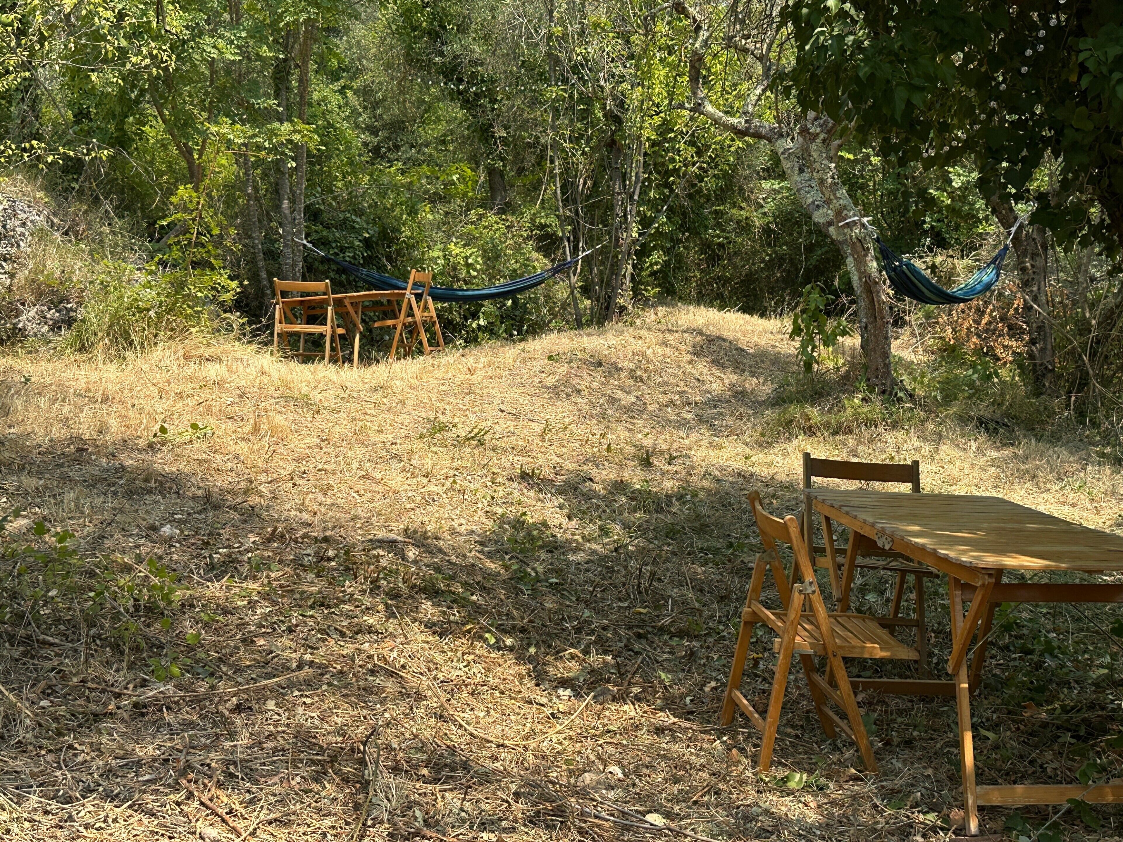 Un terrain de camping équipé d’une table et de chaises en bois, entouré d’arbres et agrémenté d’un hamac.