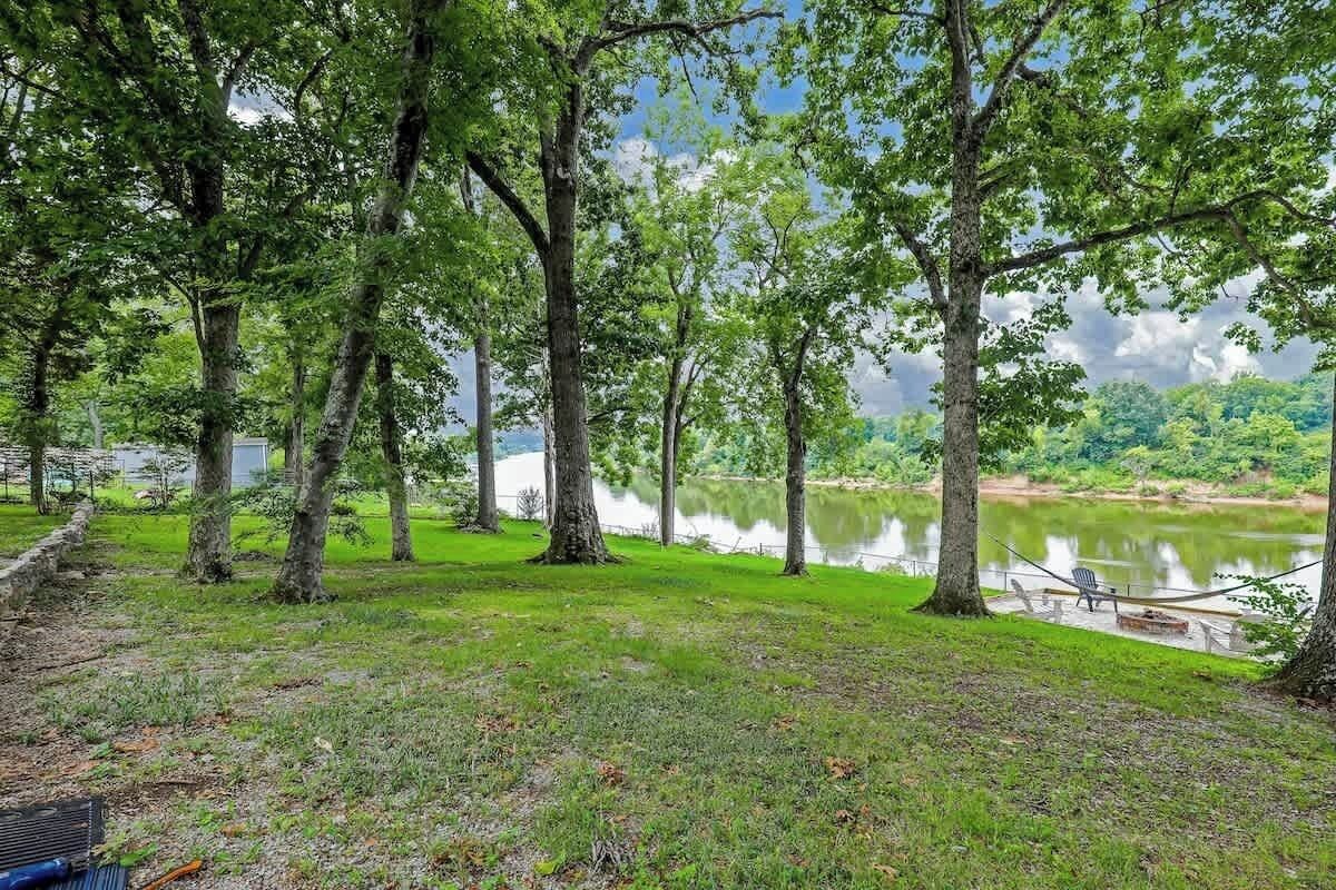 A lakeside view with trees, a bench, and a hammock.