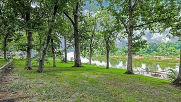 A lakeside view with trees, a bench, and a hammock.