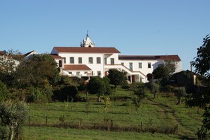 Exterior - Terrific 1-bedroom country house in charming Figueiró Dos Vinhos (Figueiró Dos Vinhos)