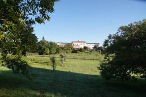 Property grounds - Terrific 1-bedroom country house in charming Figueiró Dos Vinhos (Figueiró Dos Vinhos)