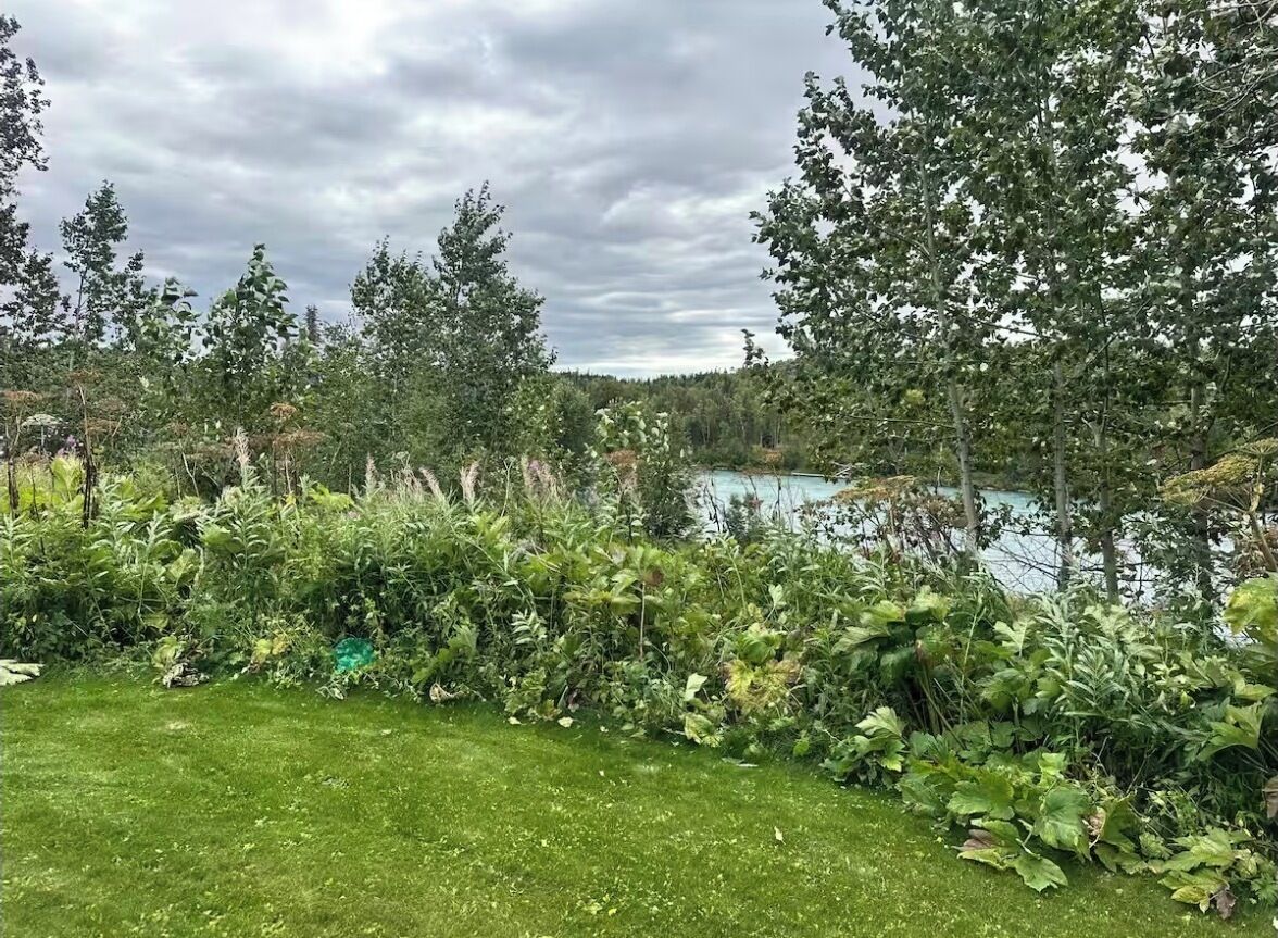 A natural landscape with a lake, dense trees, and a grassy foreground.