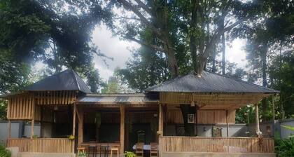Eva residence