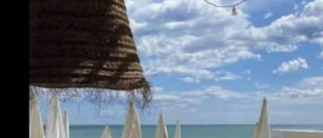 شاطئ