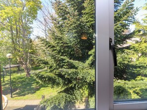 Janela com vista para uma árvore de coníferas e um poste de luz lá fora.