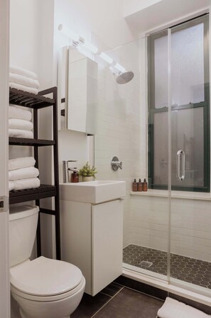 Shower, hair dryer, shampoo - Designer Loft 3W | Heart of Gold Coast/River North (Chicago)