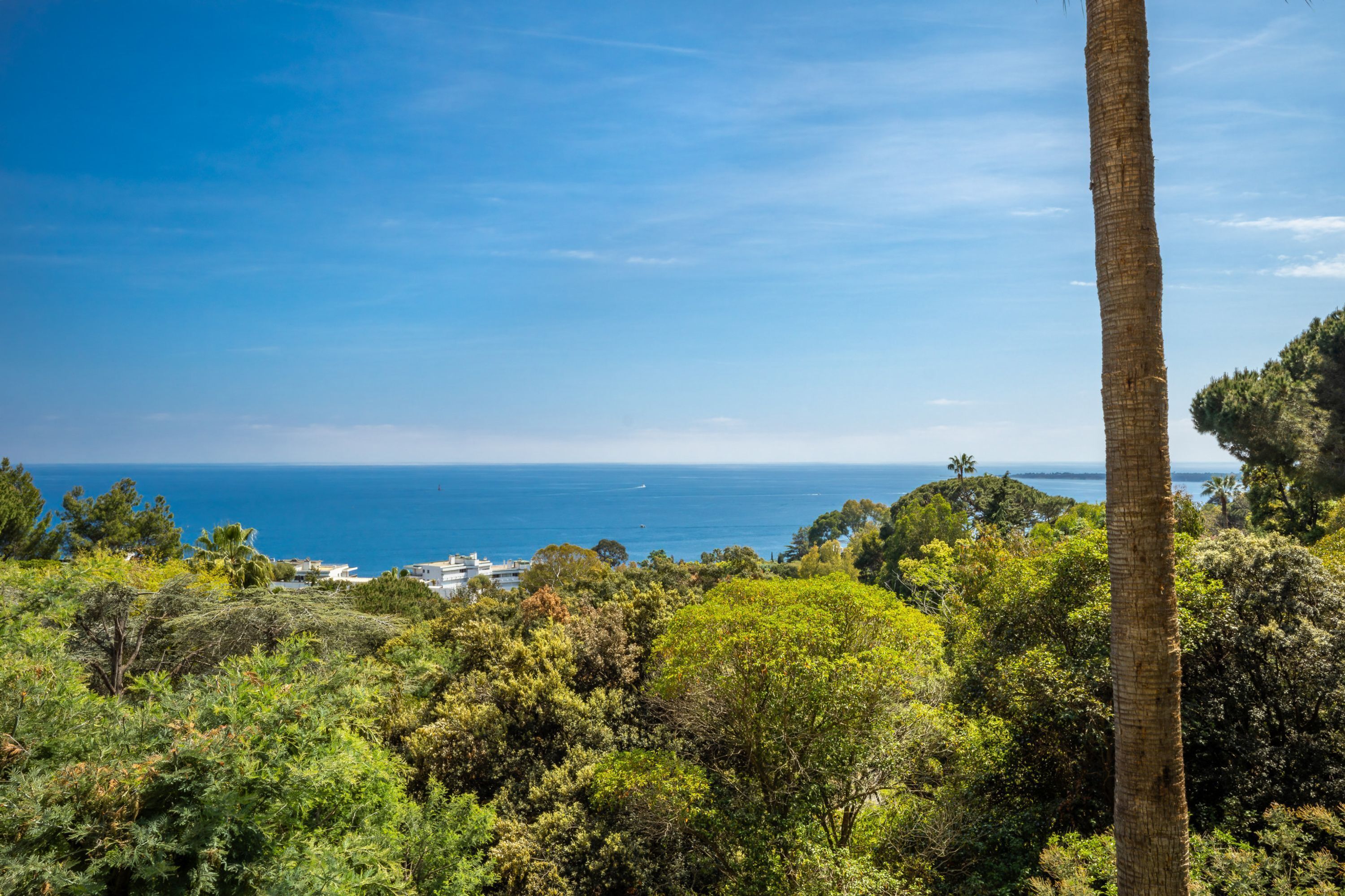 A coastal landscape with dense greenery and a clear view of the sea.