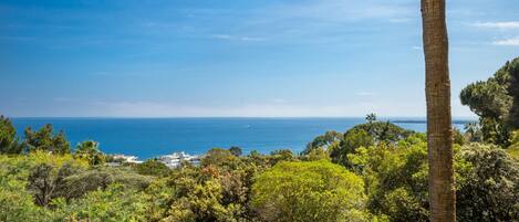 A coastal landscape with dense greenery and a clear view of the sea.