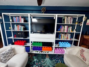 TV connectée, cheminée, lecteur de DVD, livres