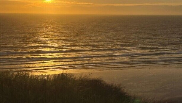 Un atardecer sobre una masa de agua, con un primer plano de hierba.
